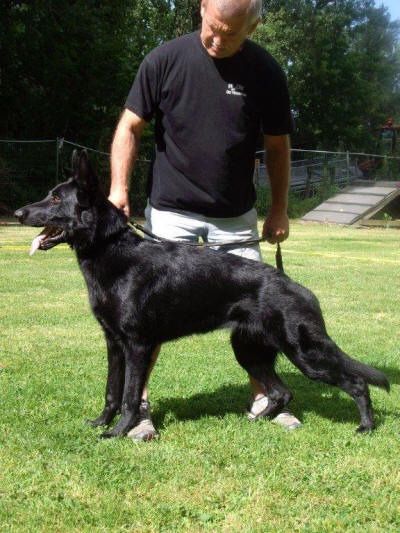 cama oostende cama oostende