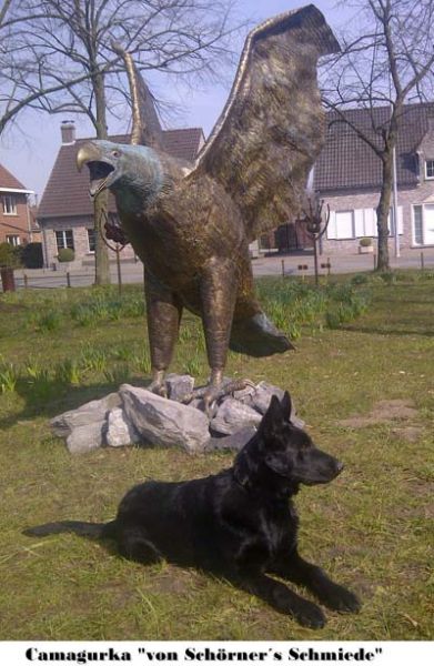 cama5maand02k cama5maand02k