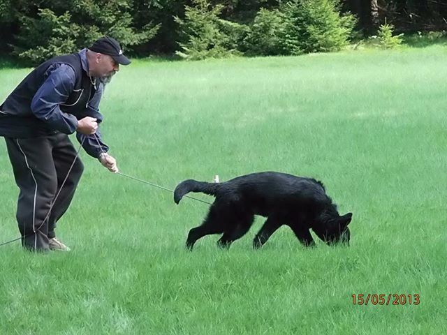 caro.05.13 caro.05.13